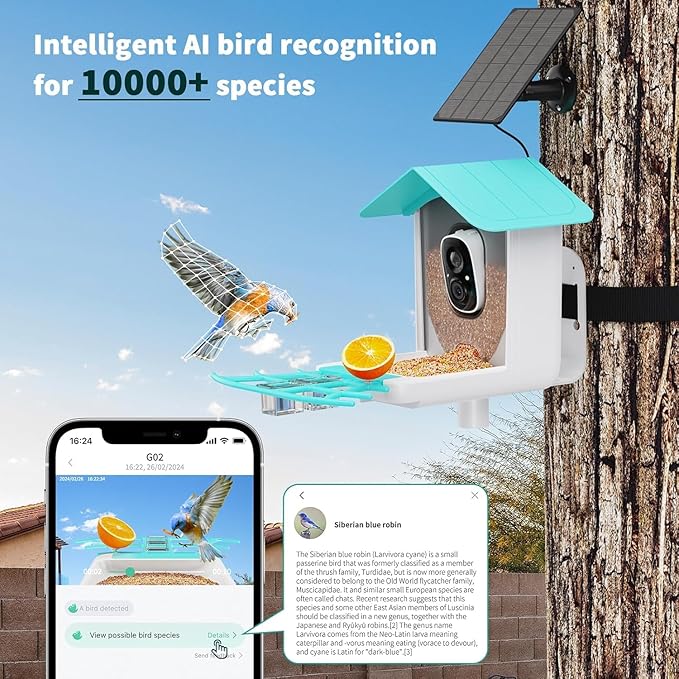 VicoHome N002 Bird Feeder with Camera - AI Bird Recognition, Solar Powered Outdoor Birdhouse Cam with Night Vision, Motion Alerts, App Control, Cloud & SD Storage, IP65 Waterproof, 2K HD Live View