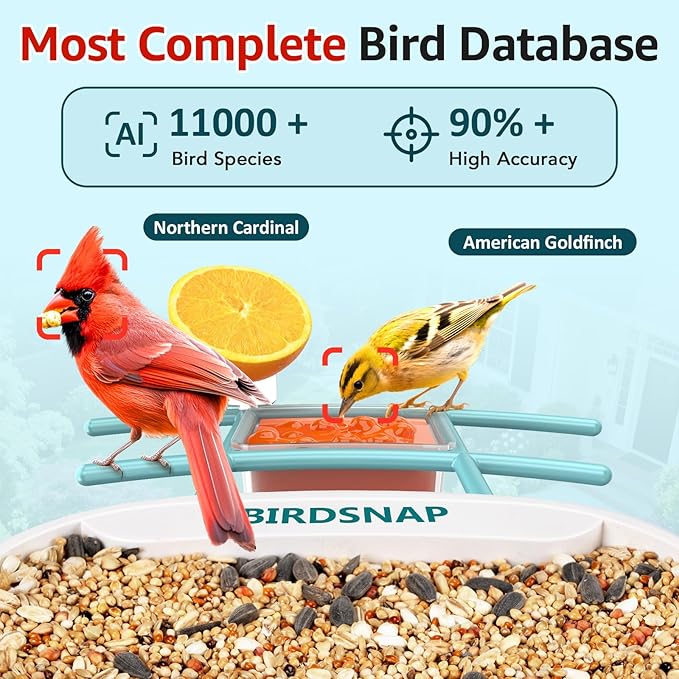 birdsnap® TUC Bird Feeder with Camera 2K HD Live with 32GB Card Auto Detect & Notify AI Identify Camera Birds Feeders Solar Powered Wireless Outdoors Backyard Gift for Mom Dad Birds Lover, 2.4G WiFi