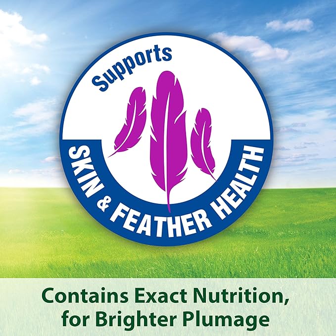 Kaytee Forti-Diet Pro Health Egg-Cite Pet Conure & Lovebird Food,3 Pound,(Pack of 2)