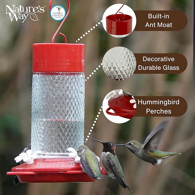 Nature's Way Hanging Glass Hummingbird Feeder for Outdoor Décor, 13 Ounce Capacity Nectar Feeder, Ant Moat, 4 Easy to Clean Flexible Ports, Red