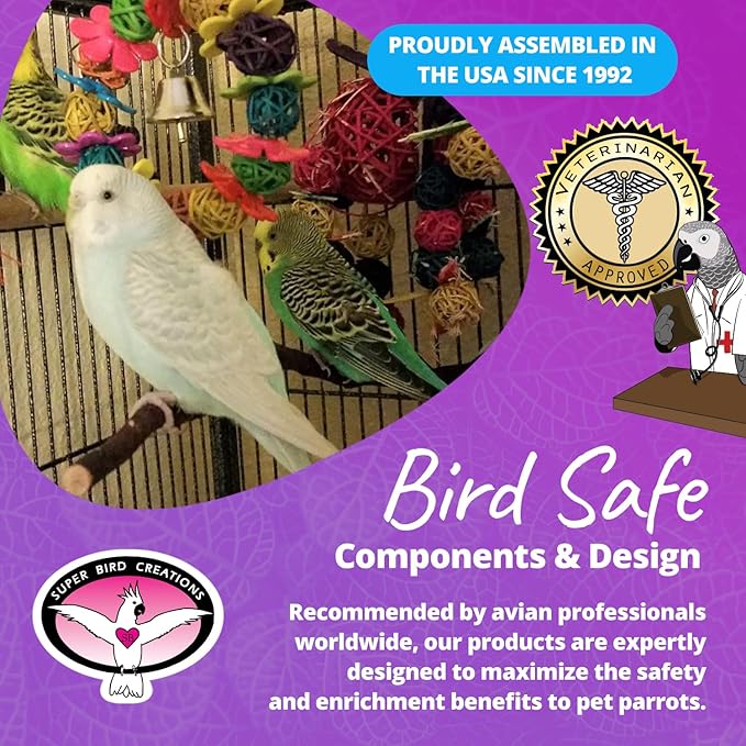Super Bird Creations SB759 Daisy Ring Bird Toy - for Small Bird Sizes 6" x 4" - Parrotlets, Parakeets, Cockatiels, and Lovebirds - Colorful and Interactive Bird Toy - Enrichment & Boredom Relief Toy