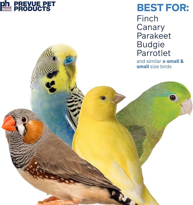 Prevue Pet Products Physical & Mental Fairy Queen Bird Toy 62545
