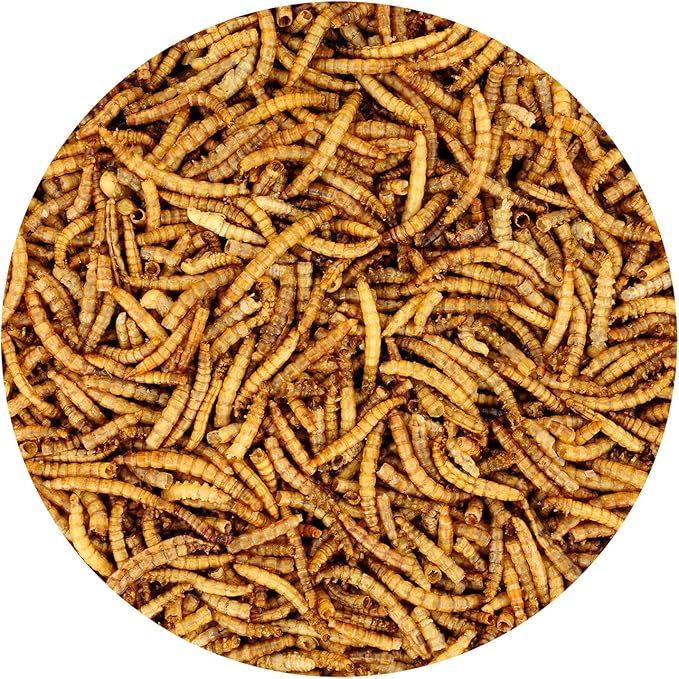 Dried Mealworms - 100% Natural, Non-GMO, High Protein, Bulk Insect Treat for Chicken, Laying Hen, Chick, Wild Bird, Bluebird, Duck, Goose, Turkey, Chickadee, Titmice, Wren, Reptile, Fish (88 lb.)