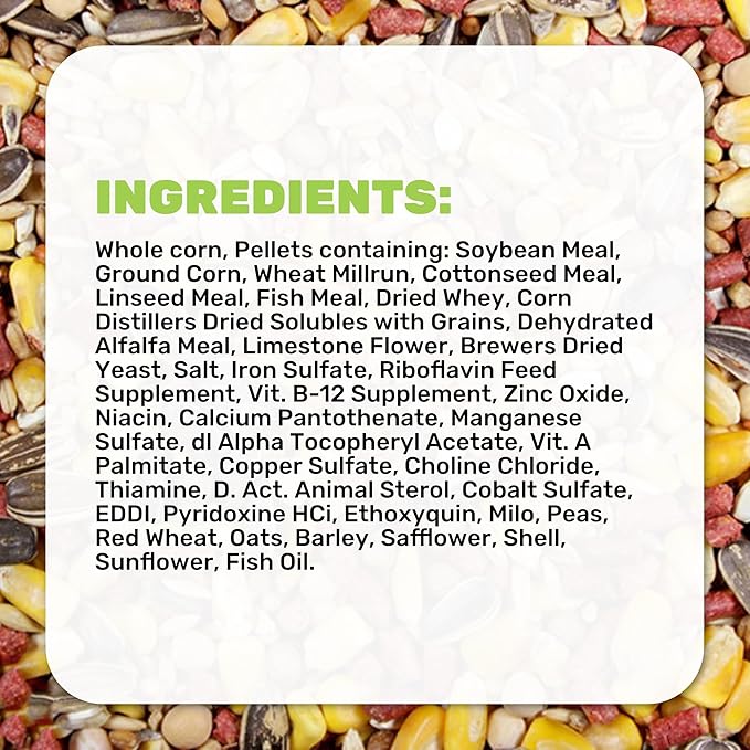 LEACH GRAIN & MILLING CO. Chavez Mix 25 Lbs Bag, Healthy Chicken Feed for Laying Hens – Supports Energy & Digestive Health – Nutrition-Rich Duck & Chicken Food with Protein, Fiber & Essential Minerals