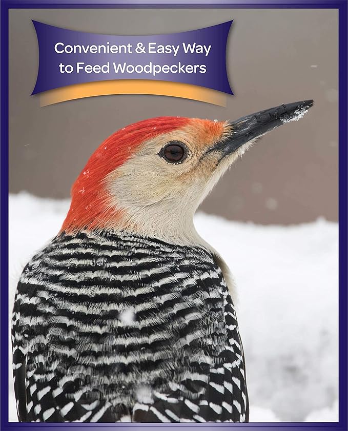 Kaytee Woodpecker Bird Bar 11 oz (Pack of 4)
