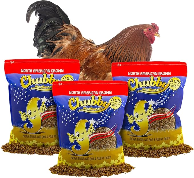 Chubby North American Grown Dried Mealworms | 7.5 lbs | Non-GMO High-Protein Treats for Chickens, Ducks & Wild Birds – Sustainable Chicken Feed