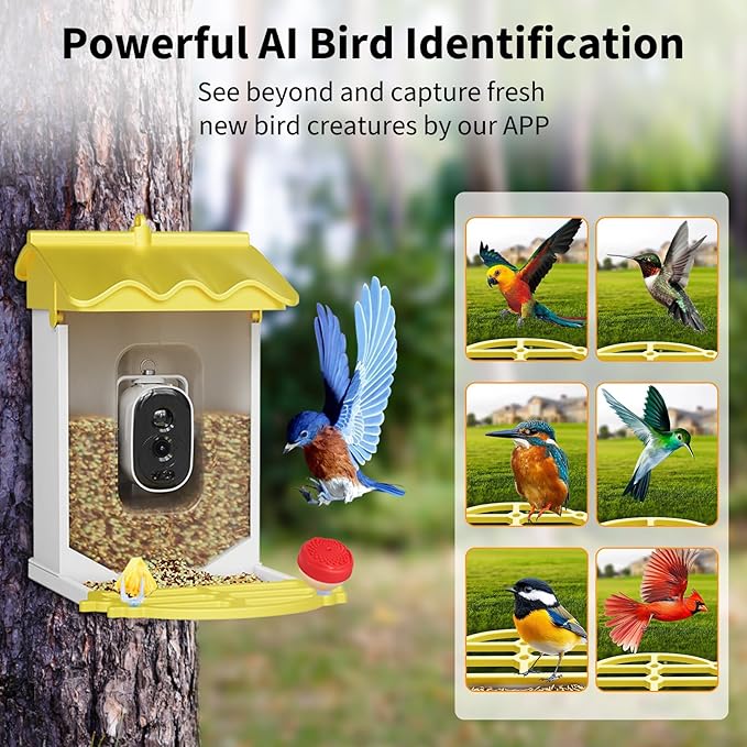 Garvee Smart Bird Feeder with 4K Camera & AI Recognition - Solar Powered, 2L Capacity, Night Vision, App Alerts, for Bird Watching, Squirrel Deterrent Function