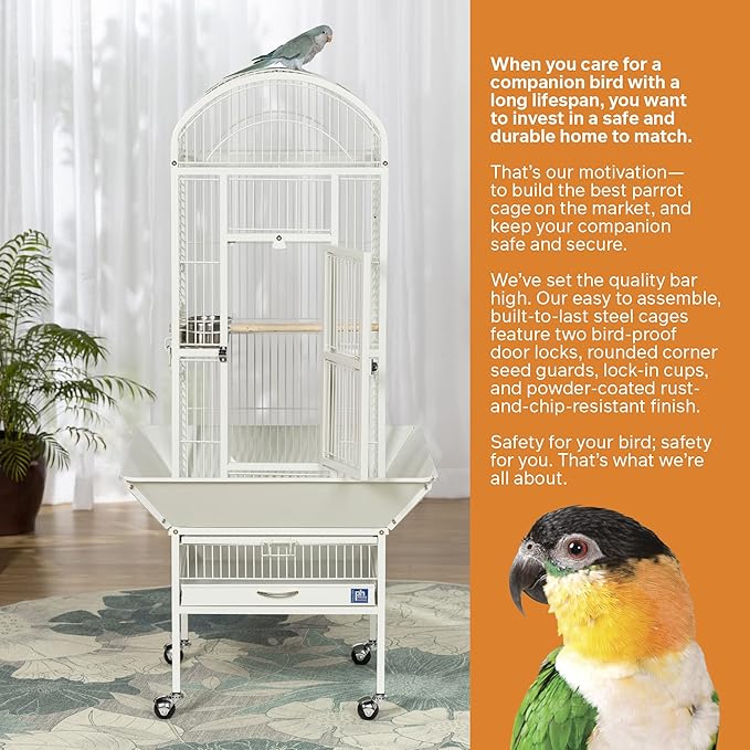 Prevue Pet Products Dome Top Bird Cage - Powder‑Coated Steel Cage with Wheels, Push Button Locks, Seed Guards and Perch, Ideal for Cockatiels, and All Small-Medium Sized Birds - Chalk White