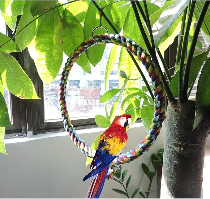 WishLotus Bird Swing, Cage Hanging Cotton Rope Swing Bite Resistance Perches Boredom Breaker for Budgie, Cockatiels, Conures, Finches, Small Parakeets (25cm)