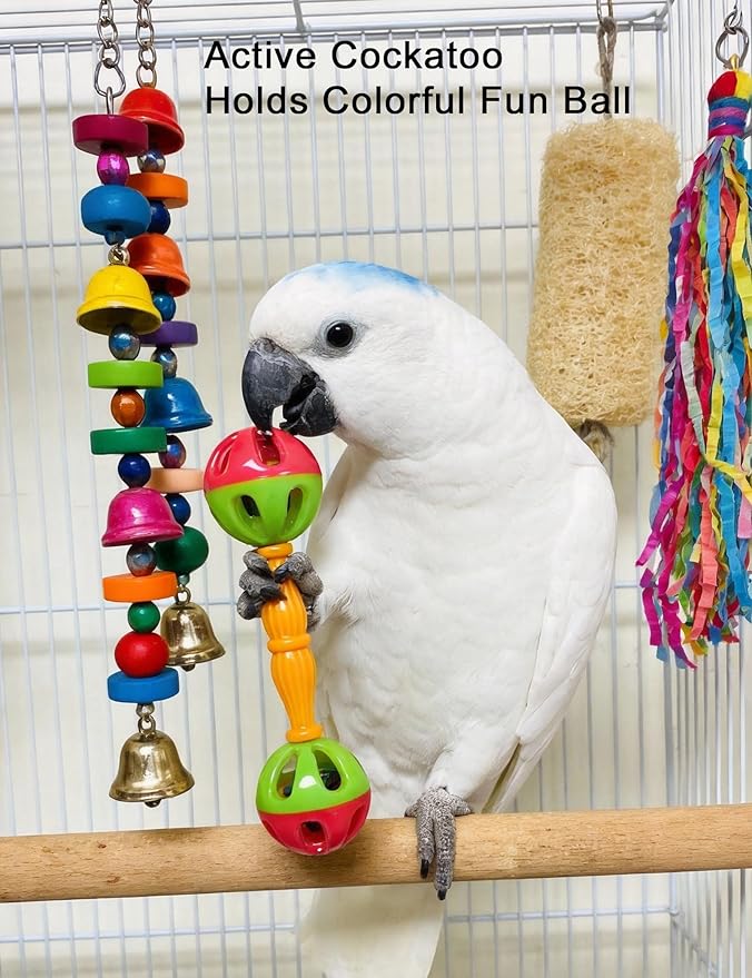 12 Pack Bird Toys Interactive Rattle Ball Toys for Small Medium Parrots Cage Entertainment