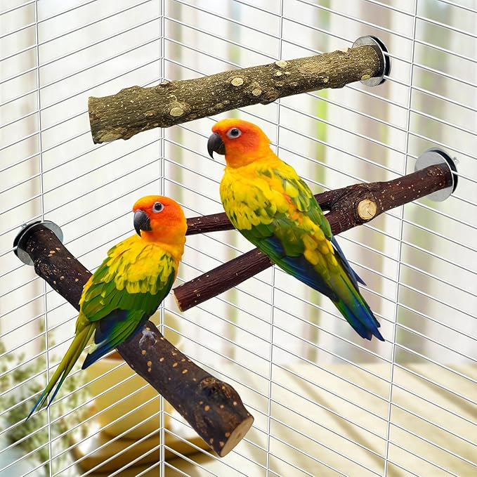 BNOSDM 5PCS Bird Perches Stand with Mirror Parrot Natural Wood Stick Perches Forked Perch Branch Parakeet Toy Set Bird Cage Accessories for Budgie Cockatiel Conure Finch Lovebird