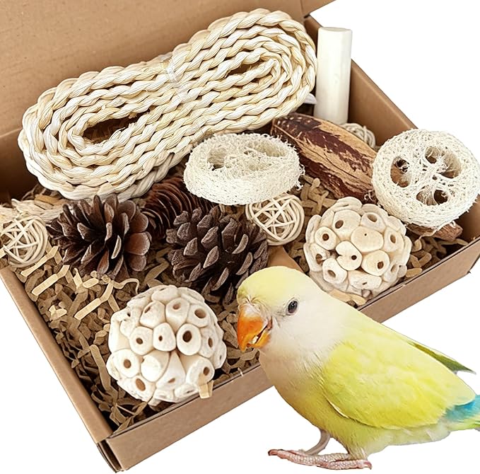 Natural Bird Toys Rattan Bird Foraging Box Parrot Shredding Toys Conure Chewing Toys for Cockatiel Lovebird Parakeet Budgie and Small to Medium Birds (Medium)