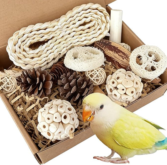 Natural Bird Toys Rattan Bird Foraging Box Parrot Shredding Toys Conure Chewing Toys for Cockatiel Lovebird Parakeet Budgie and Small to Medium Birds (Medium)