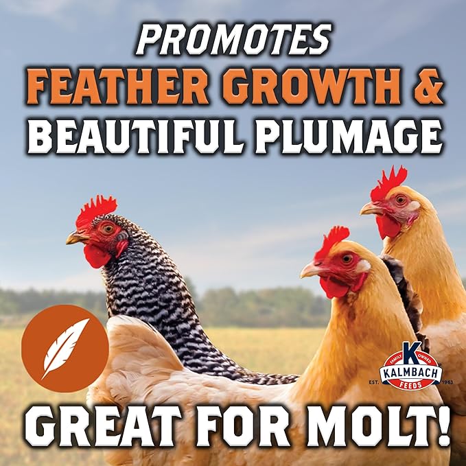 K Kalmbach Feeds Since 1963 Full Plume Feathering Feed 50 lb, 1 piece