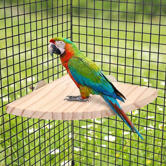 Bird Perch Platform Stand Bird Corner Wood Perch Birds Platform Parrot Stand Flat Fan Shape Playground Cage Accessories Shelf for Parakeet Conure Cockatiel Budgie Gerbil Rat Birds Hamster