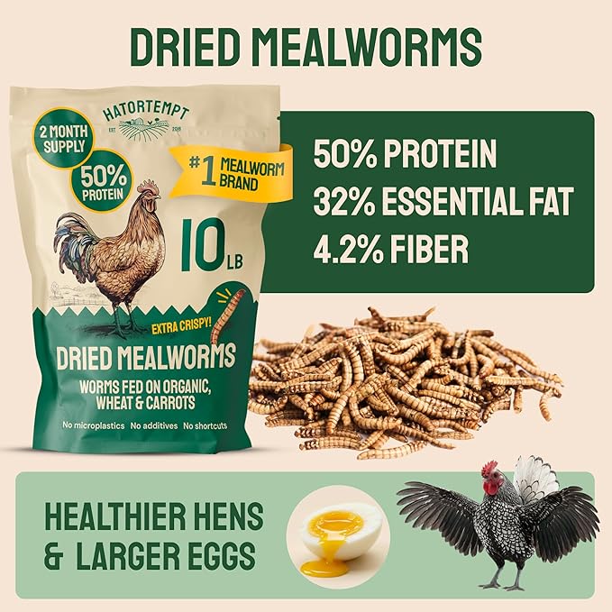 Hatortempt Bulk Dried Mealworms - 10 Lb Bag - Dried Mealworms for Chickens, Ducks & Wild Birds - High-Protein Chicken Feed & Bird Food