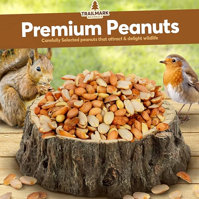 2 LB - Raw Shelled Peanuts For Squirrels, Out of Shell Peanuts For Birds and Wildlife- Squirrel Food, Wild Bird Seed - Grown in The USA