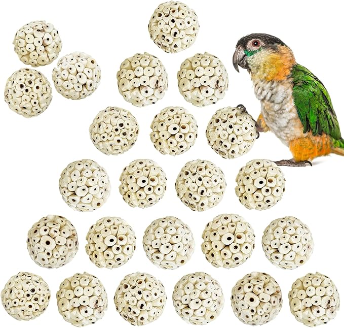 PINVNBY 24 Pack Small Sola Balls Bird Toys Soft & Chewable Bird Chew Ball 2.36" Natural Sola Plant Lightweight Shred Toy for Parakeet Cockatiel Lovebird Budgie and Similar Sizes Pets