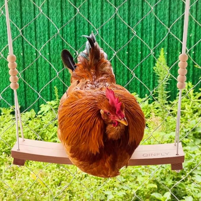 Arc-Shaped Chicken Swing Heavy Beech Wood Chicken Toys for Coop Handmade Chicken Swing for Hens Chicken Coop Accessories