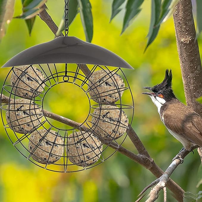 Fat Ball Stand, Fat Ball Feeder for Bird Feeder, Hanging Round Shape Metal, Food Ring Dispenser with Lid