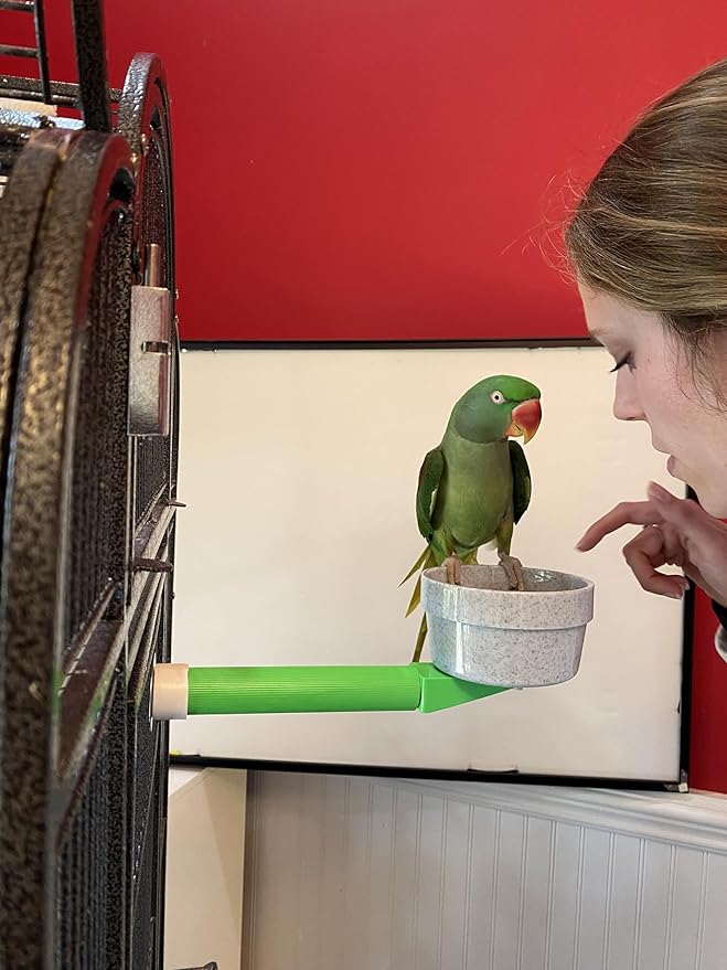 Polly's Mess Less Cups for Your Bird cage-Recommended for All Types of Birds Including Parakeets, Cockatiels, Parrots, Macaws, Cockatoos and More! (Large Short (14" x 1 3/8"))