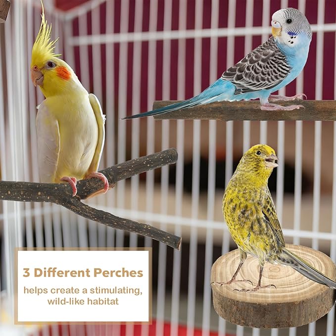 8 PCS Bird Perches for Cage, Natural Wood Parrot Perch Stand, Multi-Branch Platform with Fork Toys, Birds Cage Accessories for Parakeet Cockatiel Budgie Conures Lovebirds