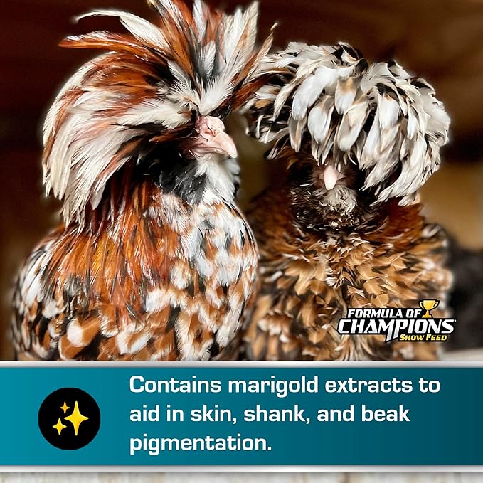 Fancy & Feathered Show Bird Mini Pellet, 50 lb Bag