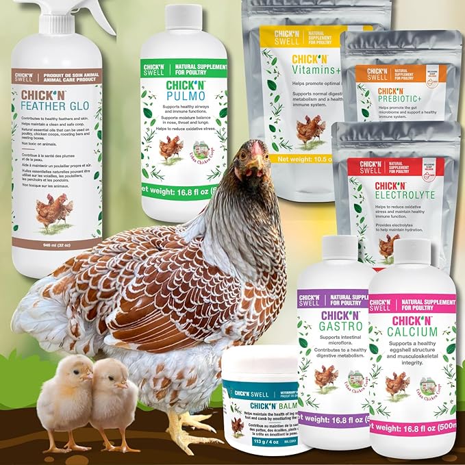 Chicken Electrolytes for Heat Stress & Dehydration – Poultry Electrolyte & Vitamin Supplement for Laying Hens and Chicks – Supports Hydration & Recovery – 10.5 oz, from Chick’N Swell.