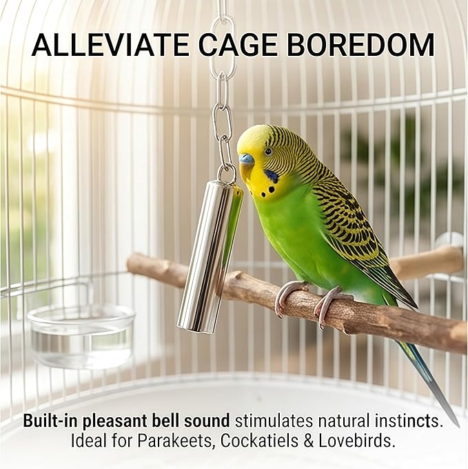 Stainless Steel Bird Bells 2-Pack Durable Hanging Bird Toy for Cage, Interactive Budgie Toys for Parakeet & Cockatiel