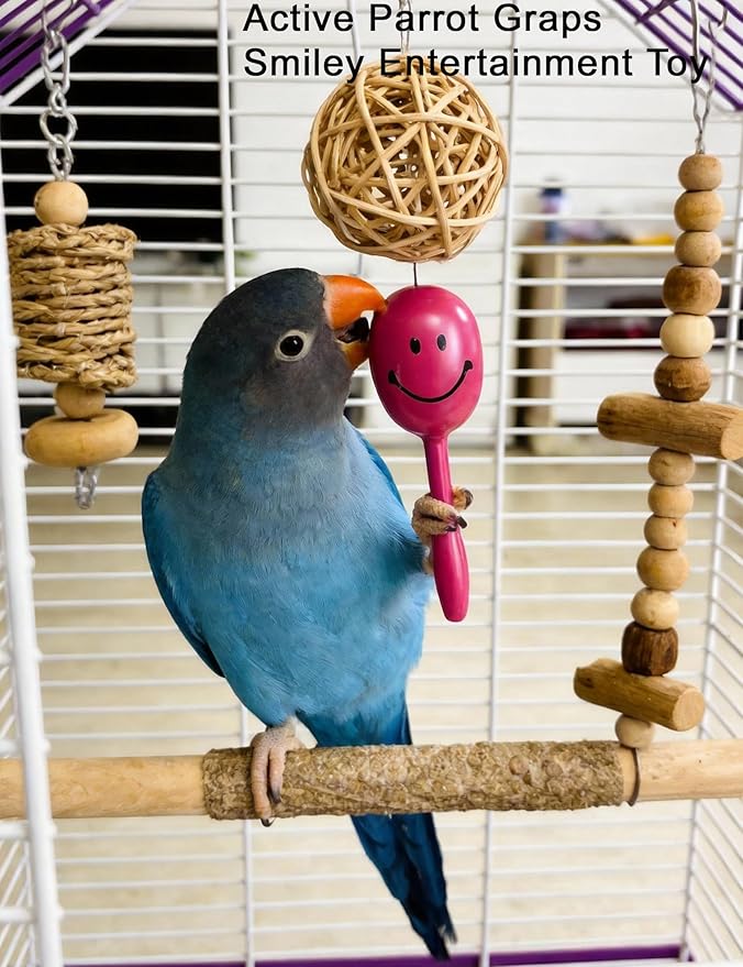 12 Pack Bird Toys Safe PP Plastic Foot Toys Rattle Balls for Parrots Lovebirds Conures Finches