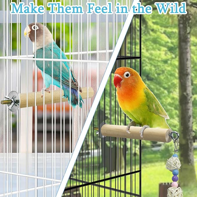 Hamiledyi Bird Perch Stand Toy Natural Wood Perch Stand Birds Toys Parakeet Toy with Rotating Balls Spinning for Parakeets Cockatiels Conures Budgies Finches Love Birds