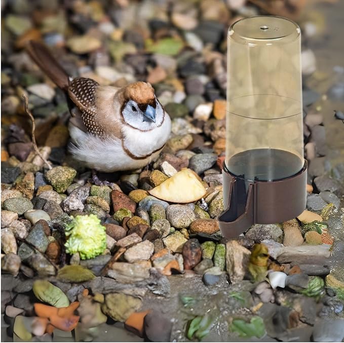 2GR Bird Accessories - 5pcs of Automatic Feeder, Bird Food Dispenser for Cage Bird, and Bird Seed Container – Perfect for Budgie Food, Parakeet Bird Food, Canary Food, and Parrot Food Storage