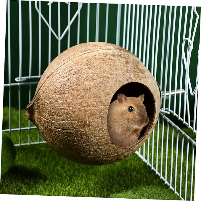 ibasenice Coconut Shell Bird Nest - Handmade Parakeet, Canary, Finch Breeding House - Natural Bird Cage Accessory for Yard and Garden Decoration