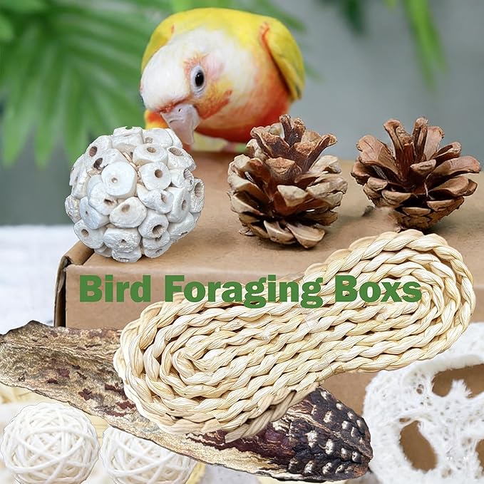 Natural Bird Toys Rattan Bird Foraging Box Parrot Shredding Toys Conure Chewing Toys for Cockatiel Lovebird Parakeet Budgie and Small to Medium Birds (Medium)