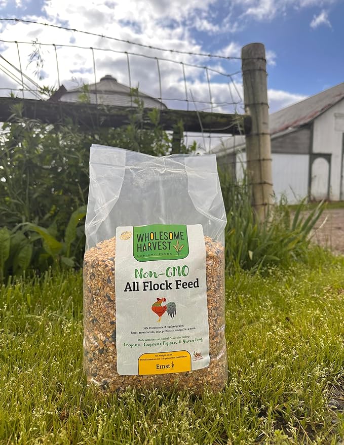 All Flock Feed, High Nutrition for Flocks, Non-GMO Duck, Turkey, Geese and Chicken, Whole Grain 10 lbs Pack