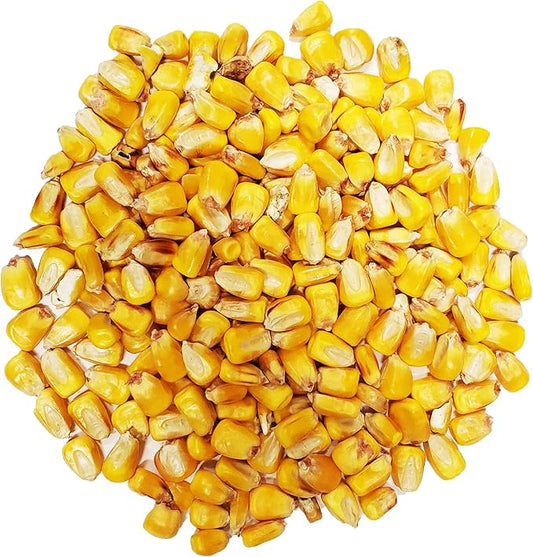 ~4 Lbs Whole Feed Corn