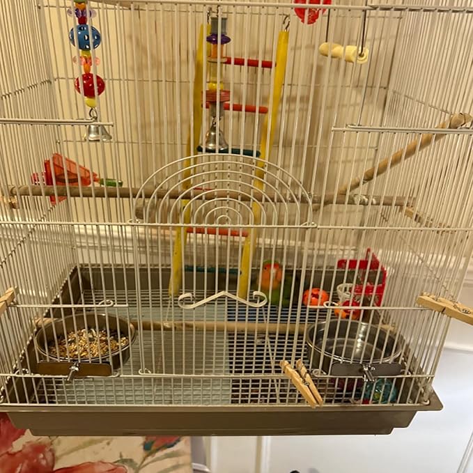 kathson Parrot Feeding Dish Cups,Stainless Steel Bird Food Water Bowl Parakeet Feeder Birds Cage Ball Toys with Clamp Holder for Cockatiel Macaw Budgies Small Animal Chinchilla (7 Pcs)