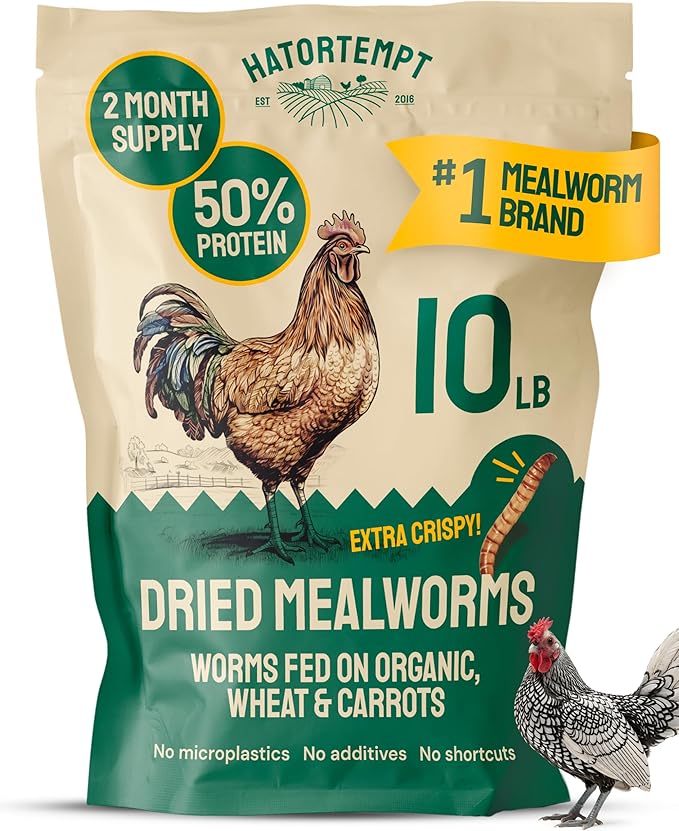 Hatortempt Bulk Dried Mealworms - 10 Lb Bag - Dried Mealworms for Chickens, Ducks & Wild Birds - High-Protein Chicken Feed & Bird Food