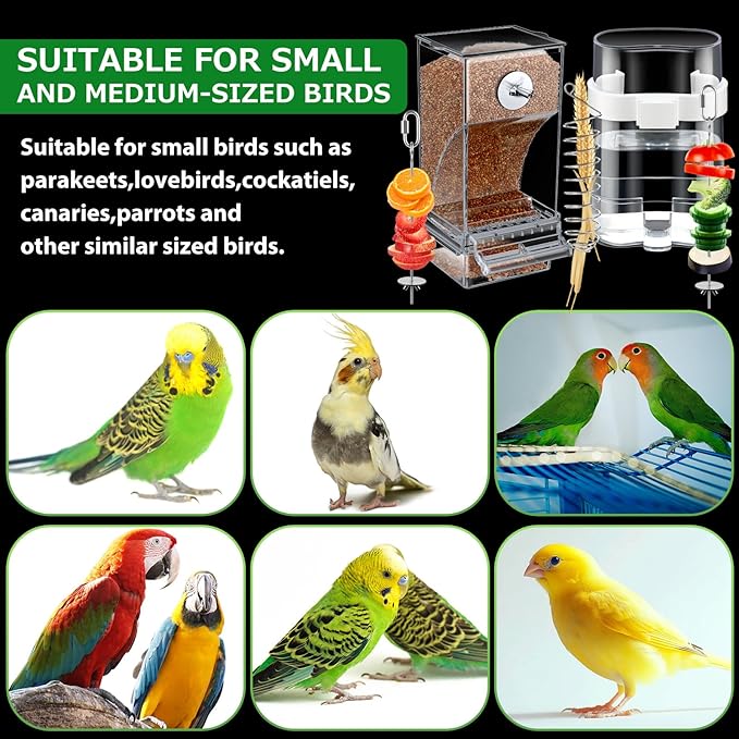 Jingmore 7 Pcs No Mess Small Bird Feeders Set Automatic Clear Parakeet Feeder and Watered Dispenser Cage Accessories Stainless Steel Fruit Vegetable Skewer Foraging for Lovebirds Budgies Finch