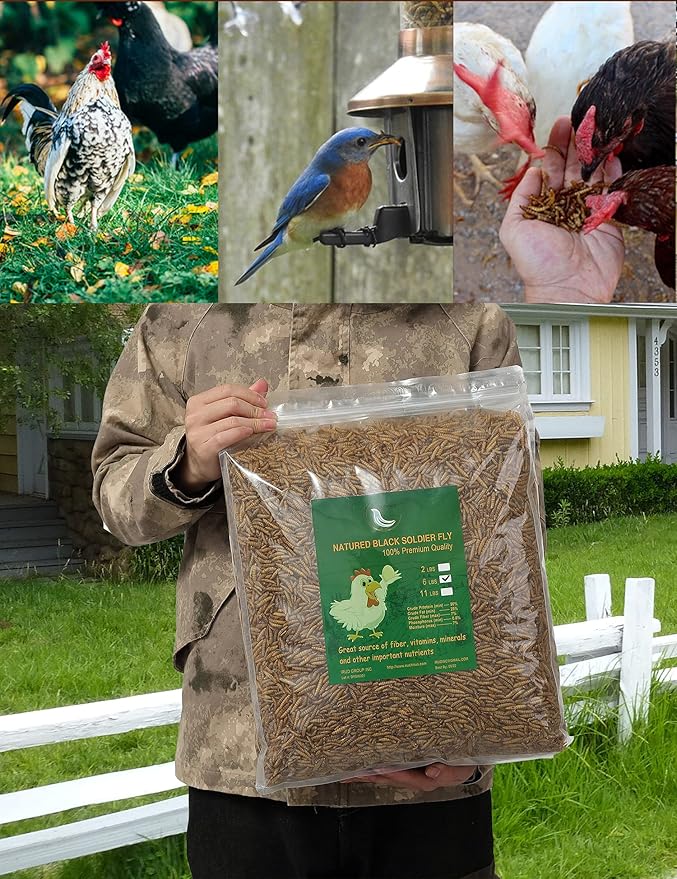 Non-GMO High-Protein Large Dried Black Soldier Fly Larva for Chickens, Natural Grubs and Poultry Treats as Chicken Feed,Duck Food, Wild Birds Seed,Reptile Food(Black Soldier fly-6LB)