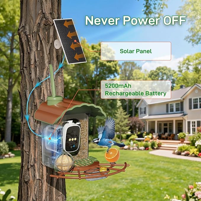 Smart Bird Feeder with Camera Solar Powered: 2K HD Video Wireless Outdoor Bird House Camera, AI Bird Species Identification & Arrival Alerts, Ideal Gift for Bird Lovers - Green