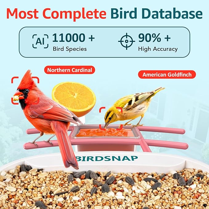 birdsnap® TUC Bird Feeder with Camera 2K HD Live with 32GB Card Auto Detect & Notify AI Identify Camera Birds Feeders Solar Powered Wireless Outdoors Backyard Gift for Mom Dad Birds Lover, 2.4G WiFi