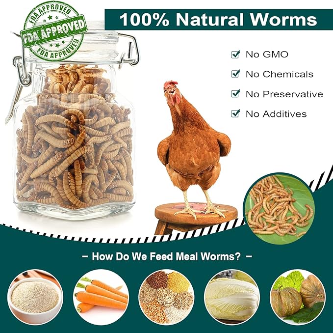 10LB 100% Natural Non-GMO High Protein Dried Mealworms, Large Size No Moisture, Perfect for Chickens Birds Hedgehog Hamster Fish Reptile Turtles