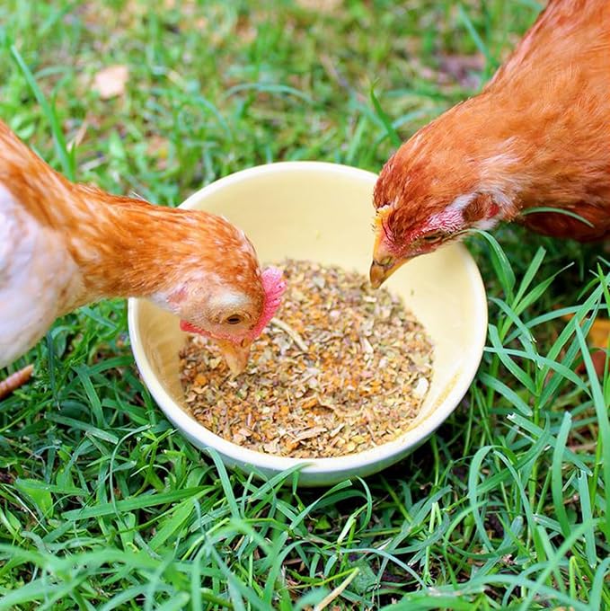 BreatheRight Chicken Coop Herbs for Hens (4.25 Pounds)