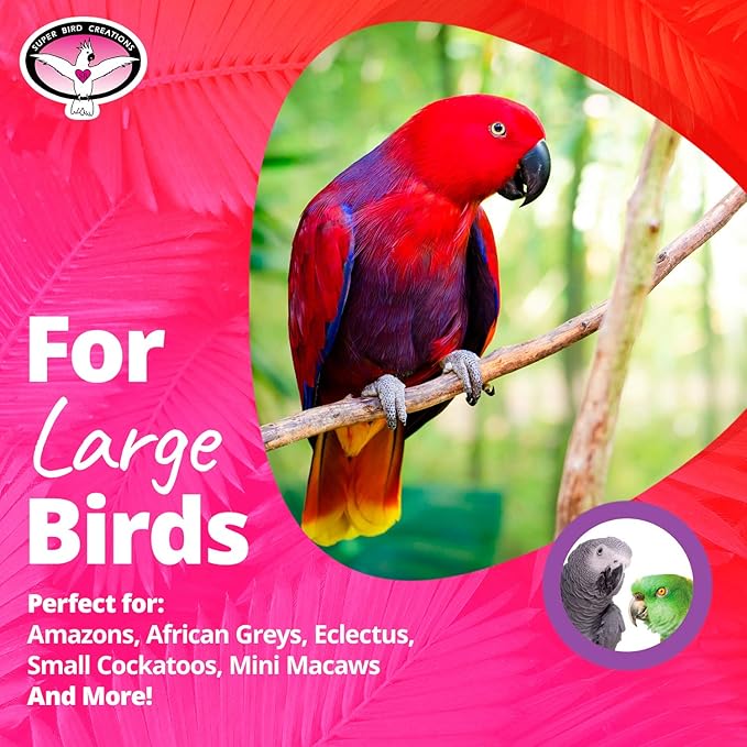 Super Bird Creations SB702 Peacock Sr. Bird Toy - Kiln Dried Pine Wood Slats, Hardwood Beads, 100% Cotton Rope - Ideal for Parrots, African Greys - Boredom Relief - Large Bird Size - 14” x 11” x 1.5”