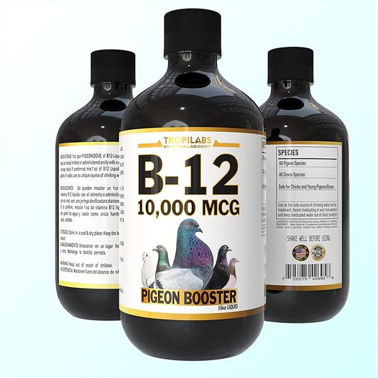 B12 B-12 Liquid 10,000 MCG Supplement for Poultry Birds, Chickens, Hens, Roosters, Pigeons, Ducks, Gooses, Turkeys & All Farm Animals 16oz Vitamin Drinking Water Additive (Pigeon Booster)