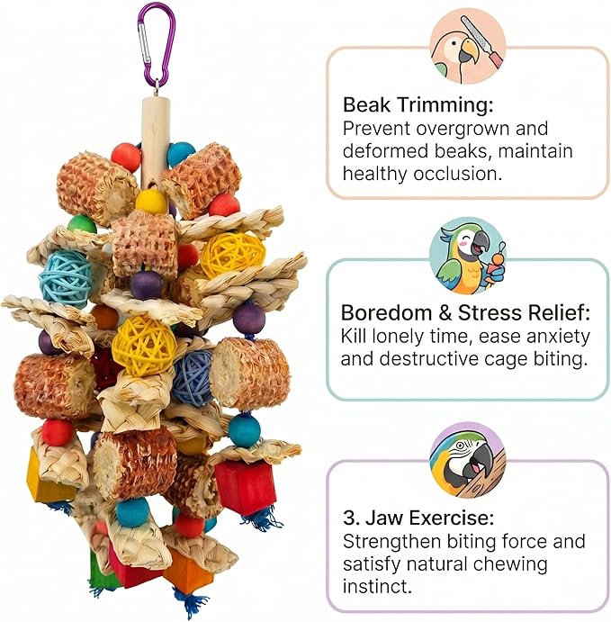 Parrot Chew Toys Bird Chew Toys Bird Toys with Natural Corn Cob for Small and Medium-Sized Macaws,African Grey,Cockatoos,Amazon Parrots,Parakeet,Cockatiel,Sun Conure, Lovebird