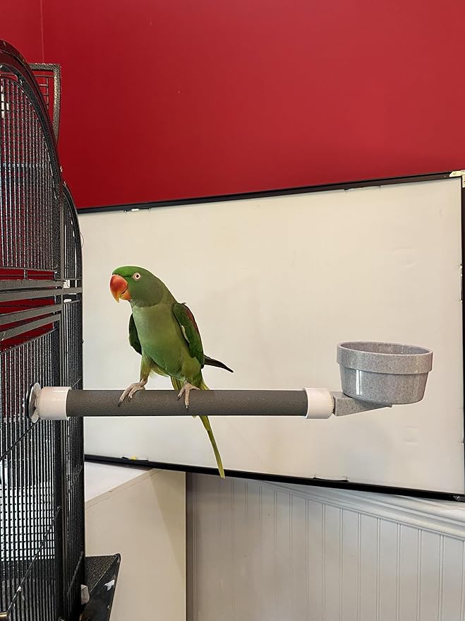 Polly's Mess Less Cups for Your Bird cage-Recommended for All Types of Birds Including Parakeets, Cockatiels, Parrots, Macaws, Cockatoos and More! (Large Long (20" x 1 3/8"))