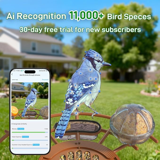 Smart Bird Feeder with Camera Solar Powered: 2K HD Video Wireless Outdoor Bird House Camera, AI Bird Species Identification & Arrival Alerts, Ideal Gift for Bird Lovers - Green