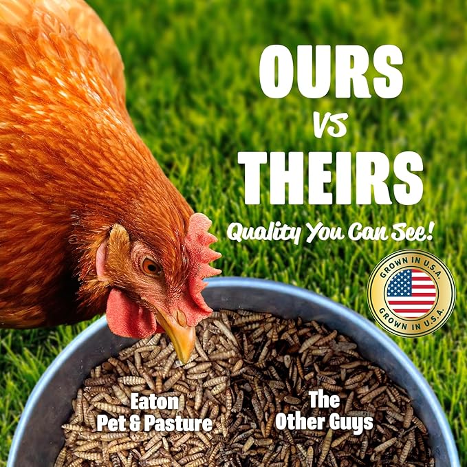 Eaton Pet and Pasture Premium Grubs, USA Grown Dried Black Soldier Fly Larvae, High Calcium Treat for Chickens, Ducks, Wild Birds (1 LB) (Pack of 2)